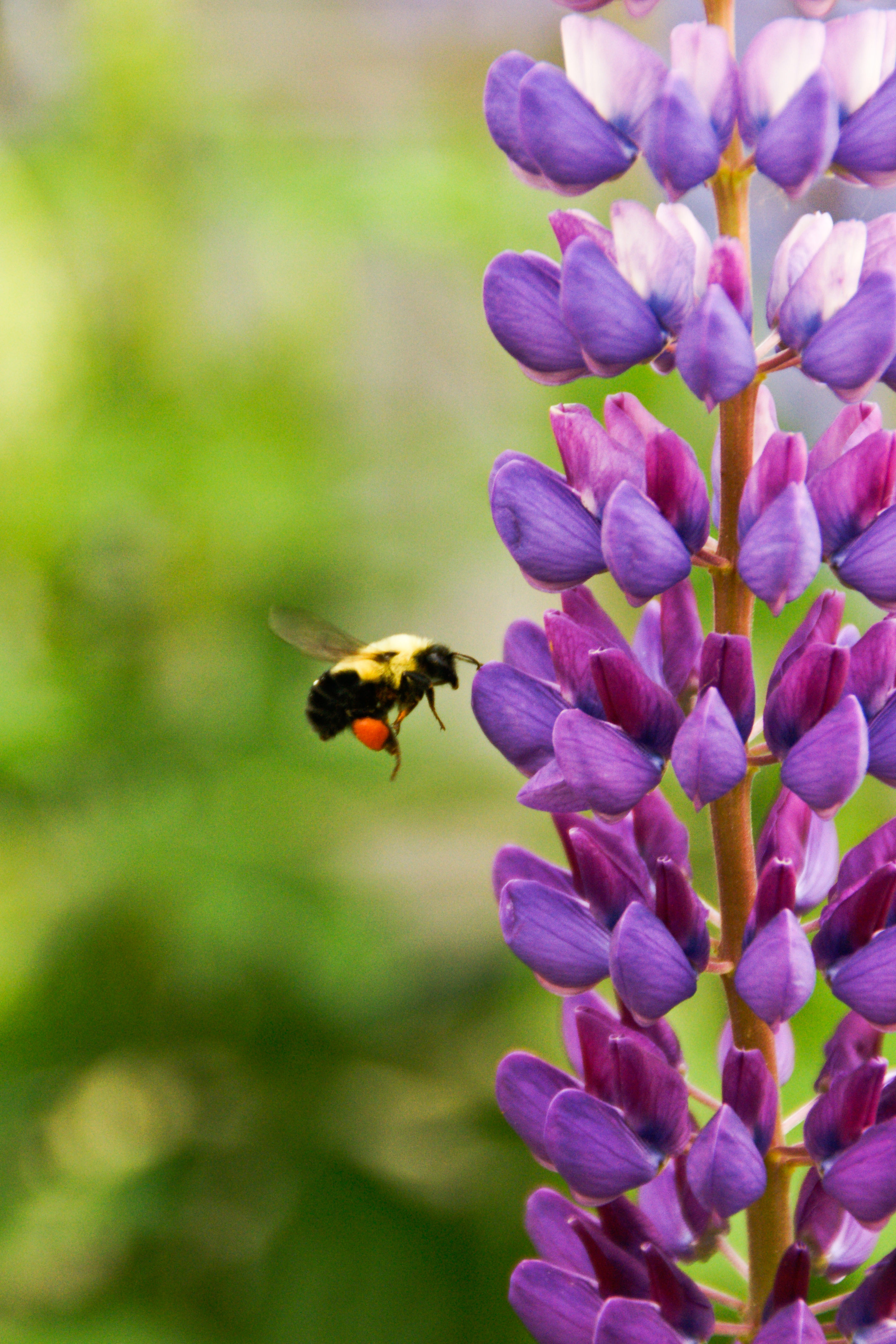 Are You Ready for Spring? It's Almost Here!