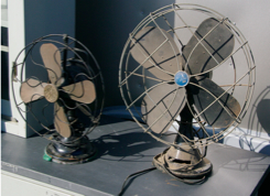 It's Summer, It's August.....Will the Heat Ever End?