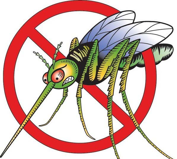 The Deadliest Creature on Earth . . . lives right in your backyard