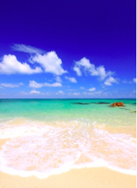 July is Here & Mercury is Rising...It's All About Water!